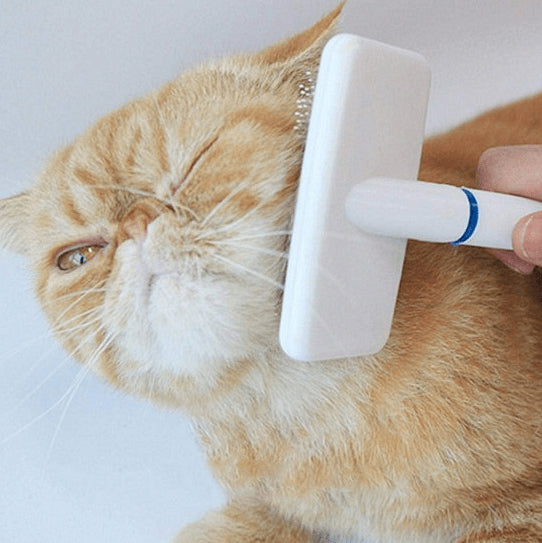 Четка за кучета и котки