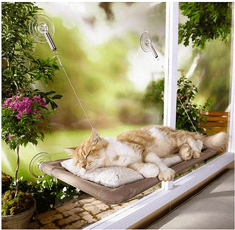 Легло за котки тип хамак, Залепване с вакум вендузи Aventra Store