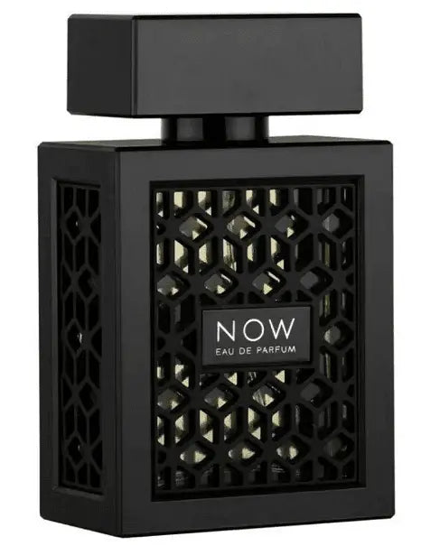Men's perfume, Rave Now EDP, 100 ml. Aventra Store