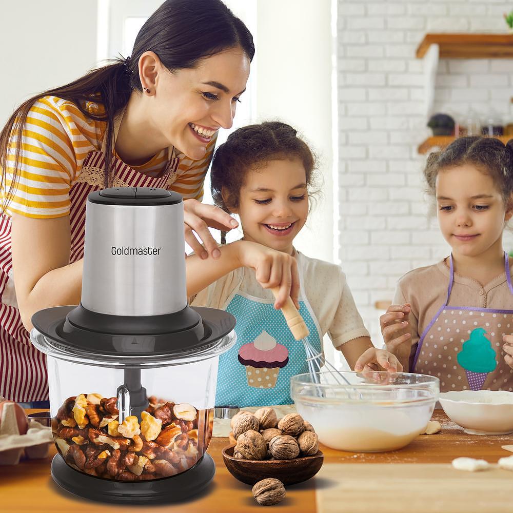 Професионална дробилка, GoldMaster, 500W, 2 степени, Неръждаема стомана