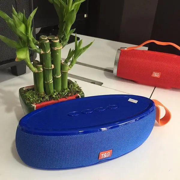T&G TG-105 Bluetooth тонколонка Aventra Store