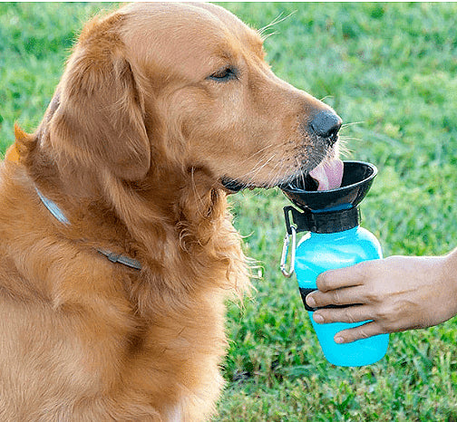 Туристическа кучешка бутилка за вода, 0,5 литра, Синя