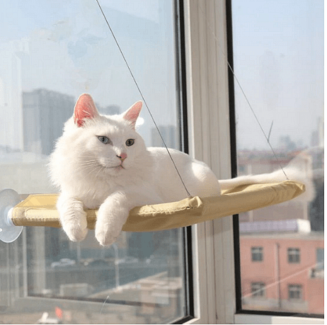 Легло за котки тип хамак, Залепване с вакум вендузи